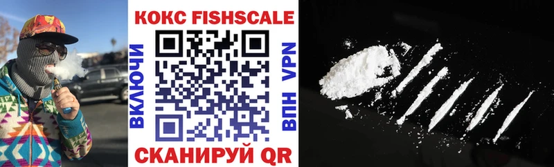 купить   Исилькуль  КОКАИН Fish Scale 