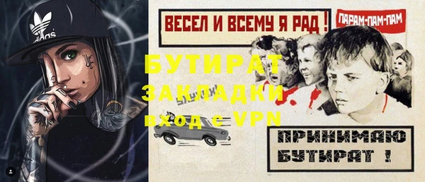 шишки Щигры
