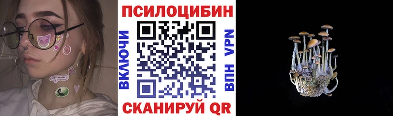 как найти   Исилькуль  Псилоцибиновые грибы Psilocybine cubensis 